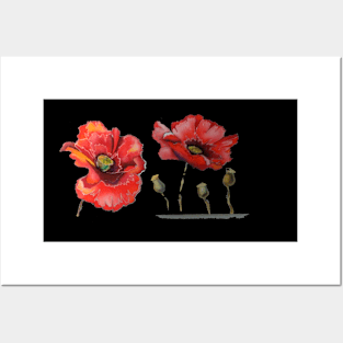 poppy Posters and Art